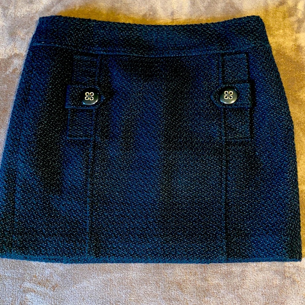 Banana Republic Black Lined Mini Skirt